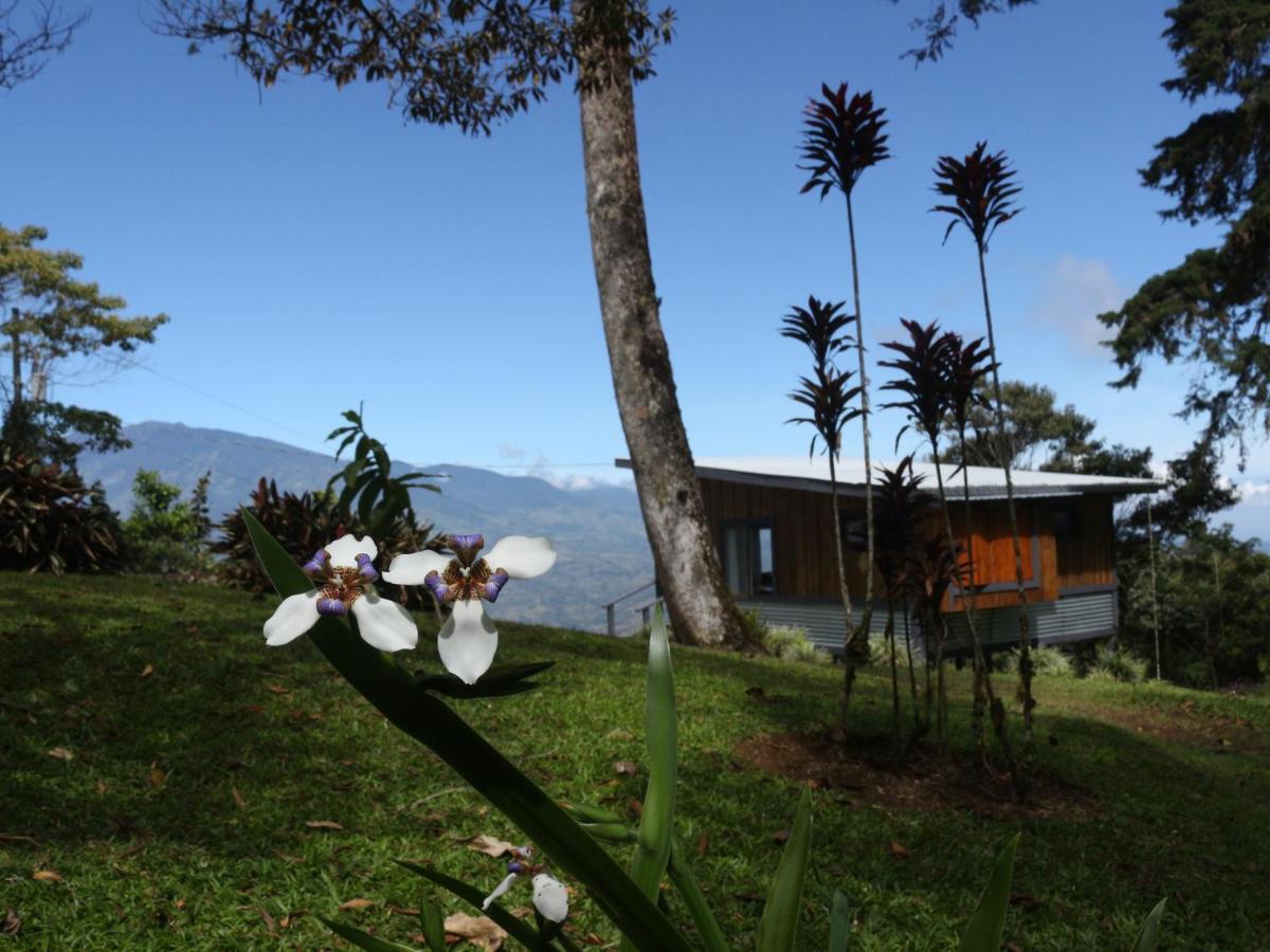 The Lodge At Reventazon River Mountain Ranch Turrialba Exteriér fotografie