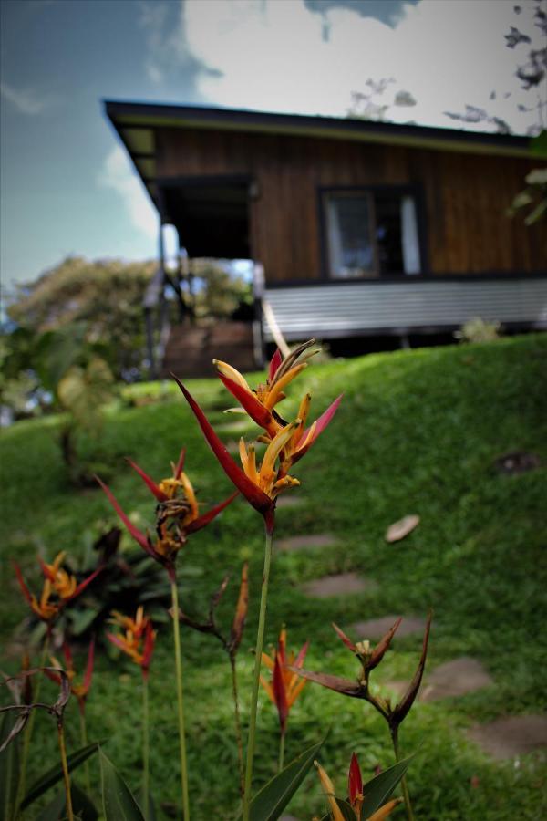 The Lodge At Reventazon River Mountain Ranch Turrialba Exteriér fotografie